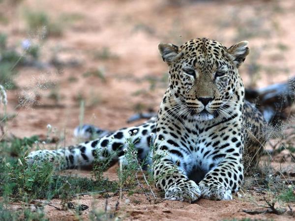 Botswana value safari and Victoria Falls